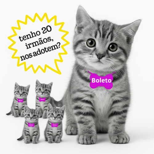 Adote um boletinho do casal